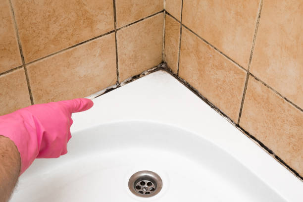Kimball, TN Mold Removal Company
